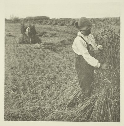 Cosecha de maíz (Norfolk) de Peter Henry Emerson