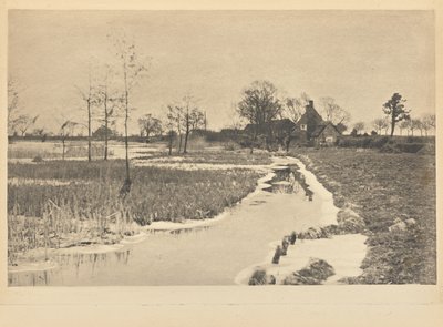 [The Edge of the Broad] de Peter Henry Emerson