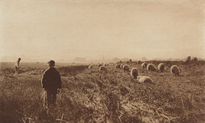 Los Pantanos en Junio de Peter Henry Emerson