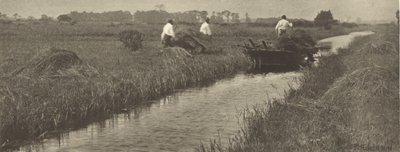 La cosecha de juncos de Peter Henry Emerson