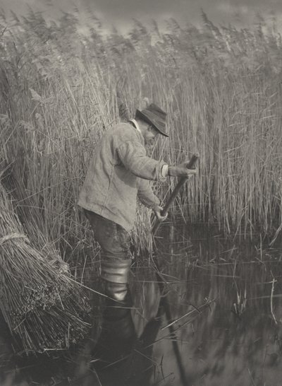 Un Cortador de Cañas en el Trabajo de Peter Henry Emerson and T.F. Goodall