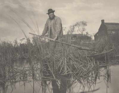Cortando el gladdon de Peter Henry Emerson and T.F. Goodall