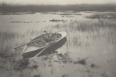 Artillero trabajando con aves de Peter Henry Emerson and T.F. Goodall