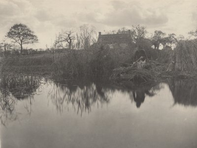 Cuantificando el Gladdon de Peter Henry Emerson and T.F. Goodall