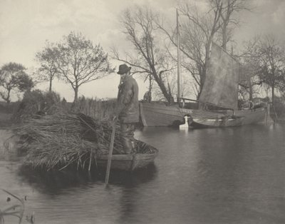 El regreso del cortador de espadañas de Peter Henry Emerson and T.F. Goodall