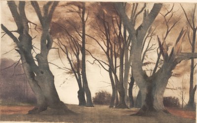 Árboles de haya en Ermelunden de Peter Vilhelm Ilsted