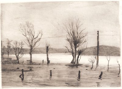 Paisaje invernal en Tyreholm de Peter Vilhelm Ilsted