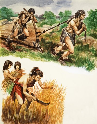 Agricultura de la Edad de Piedra de Peter Jackson