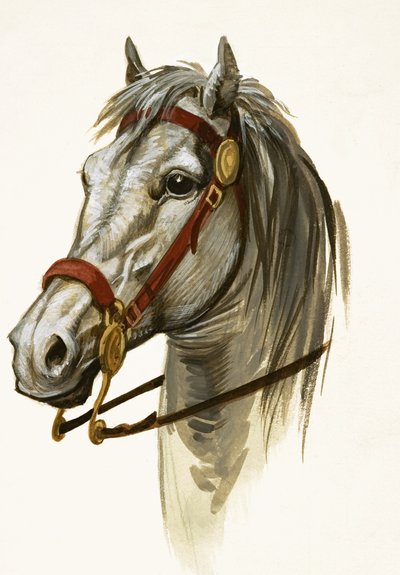 Caballo no identificado de Peter Jackson