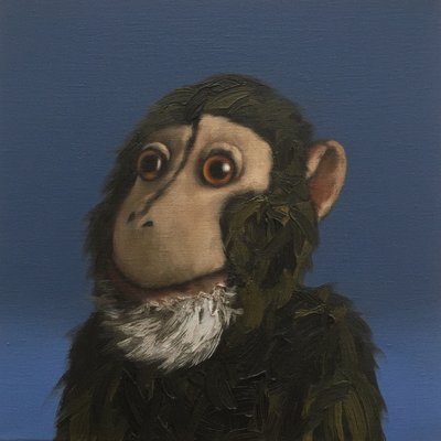 Mono Andy de Peter Jones