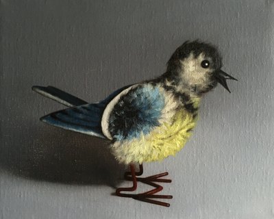 Herrerillo Común de Peter Jones