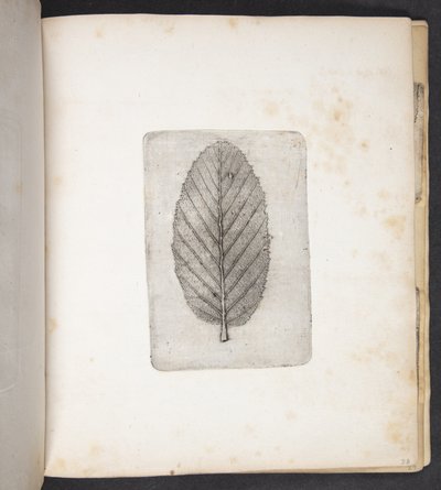 Impresión de la hoja de Peter Larsen Kyhl