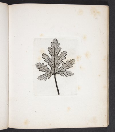 Impresión de la hoja de Peter Larsen Kyhl