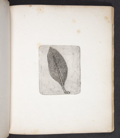 Impresión de la hoja de Peter Larsen Kyhl