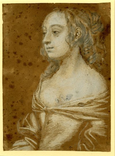 Retrato de una dama












 con el pelo en tirabuzones a media melena de Peter Lely