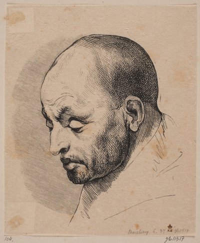 Cabeza de un hombre calvo de Peter Ludvig Meisling