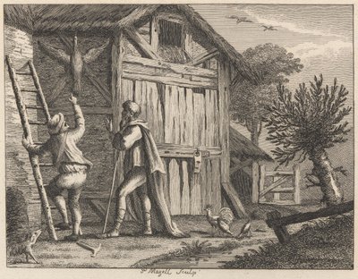 Pitágoras y el hombre de campo de Peter Mazell