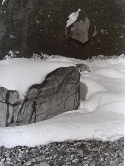 FOTO VINTAGE B&N No.3, 1985 de Peter McClure