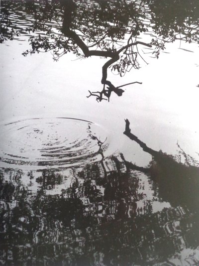 FOTO VINTAGE B&N No.5, 1986 de Peter McClure