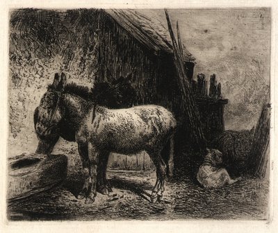 (Burros y ovejas) de Peter Moran