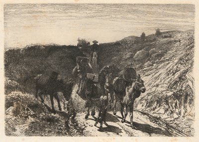 Tren Burro, Nuevo México de Peter Moran