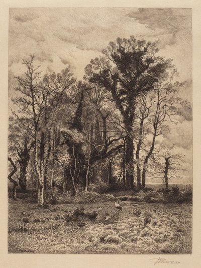 El borde del pantano de Peter Moran