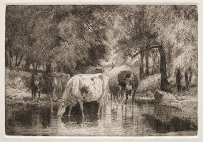 La piscina de Peter Moran