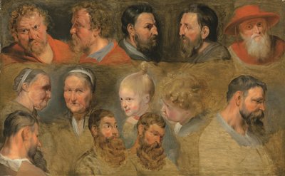 Estudios de cabezas (óleo sobre tabla) de Peter Paul (circle of) Rubens