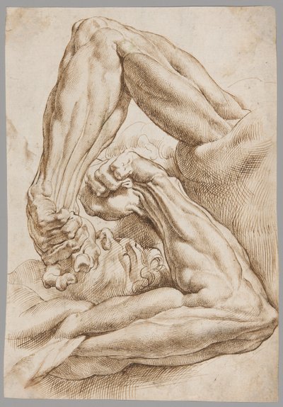 Una hoja de estudios anatómicos de Peter Paul Rubens