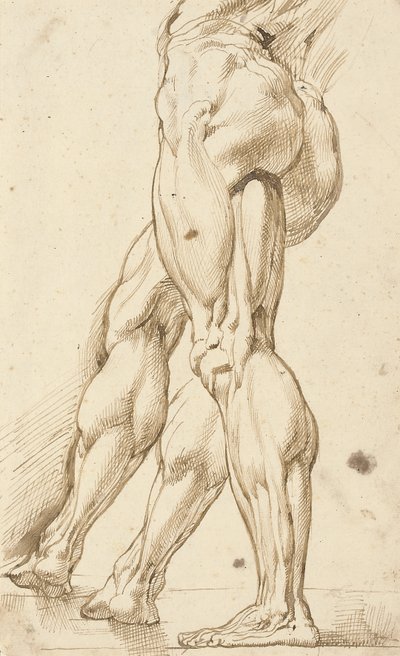 Estudio de écorché de las piernas de un desnudo masculino, con un estudio subsidiario de la pierna derecha de Peter Paul Rubens