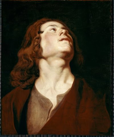 El evangelista Juan de Peter Paul Rubens