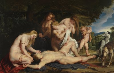 La muerte de Adonis (Venus llora por Adonis) de Peter Paul Rubens