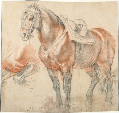 Caballo ensillado de Peter Paul Rubens