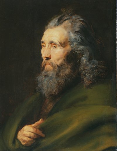 Estudio de cabeza de un hombre con barba, c.1617 de Peter Paul Rubens