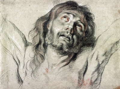 Cabeza de Cristo en la cruz por Peter Paul Rubens de Peter Paul Rubens