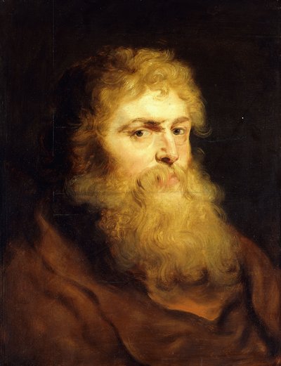 Cabeza de un hombre con barba de Peter Paul Rubens