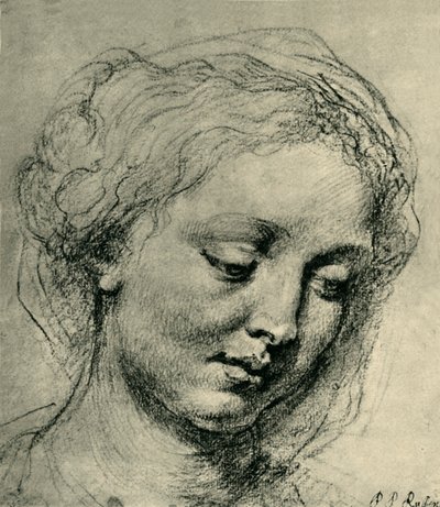 Cabeza de una mujer de Peter Paul Rubens