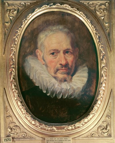 Cabeza de un anciano de Peter Paul Rubens