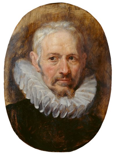Cabeza de anciano (óleo sobre tabla) de Peter Paul Rubens