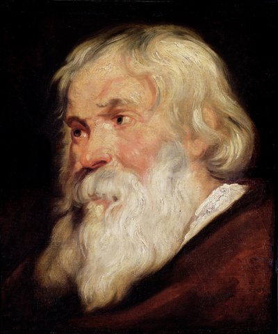 Cabeza de un anciano de Peter Paul Rubens