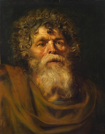 Cabeza de un anciano, estudio para 