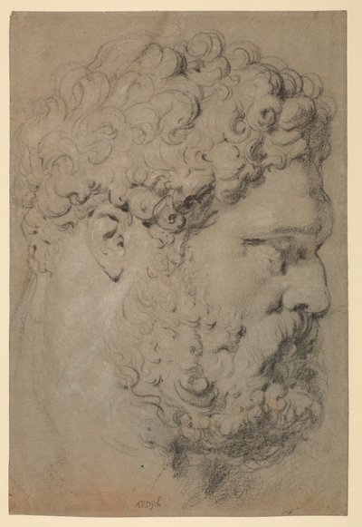Cabeza del Hércules Farnesio de Peter Paul Rubens