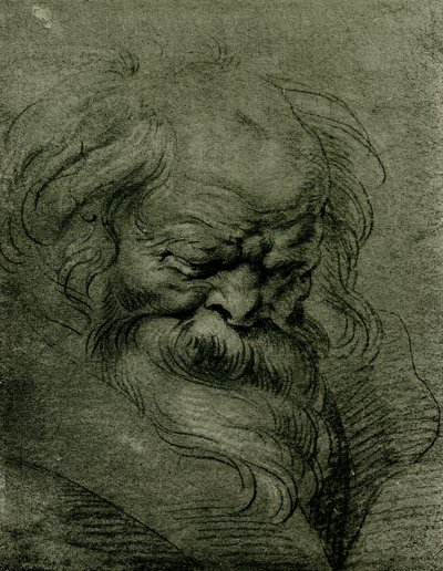 Estudio de cabeza para Baco de Peter Paul Rubens