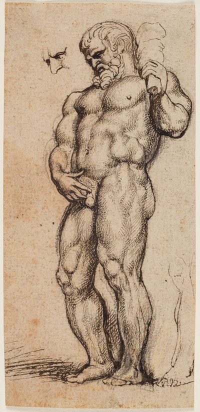 Hércules de Peter Paul Rubens