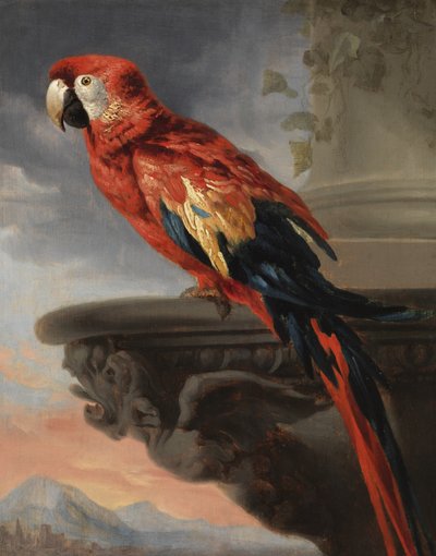 Loro de Peter Paul Rubens
