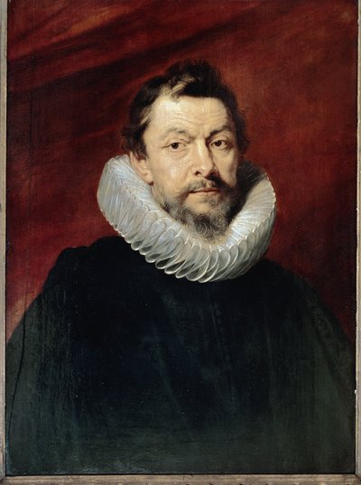 Retrato del Barón Henri de Vicq, Embajador de los Países Bajos en la Corte Francesa de Peter Paul Rubens