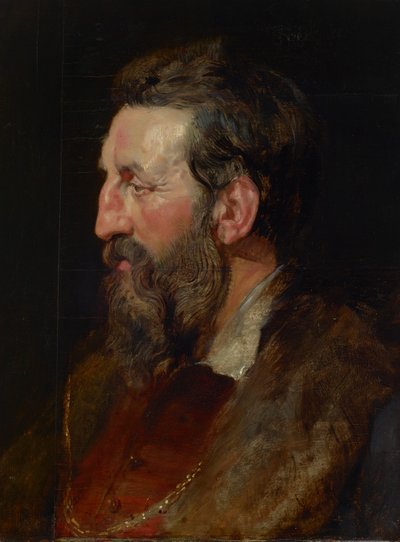 Retrato de hombre, c.1615 (óleo sobre tabla) de Peter Paul Rubens