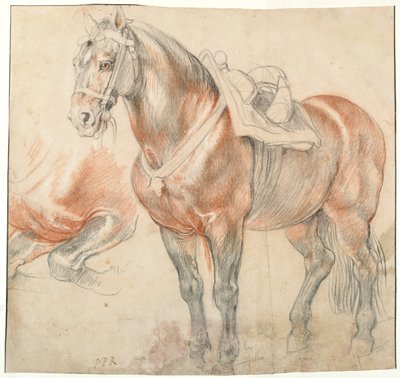Caballo ensillado, c. 1616-1618 de Peter Paul Rubens