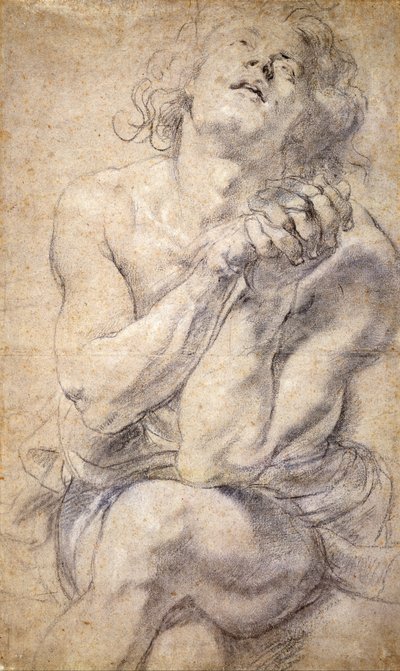 Joven masculino sentado (Estudio para Daniel) de Peter Paul Rubens