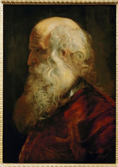 Cabeza de estudio de un anciano de Peter Paul Rubens